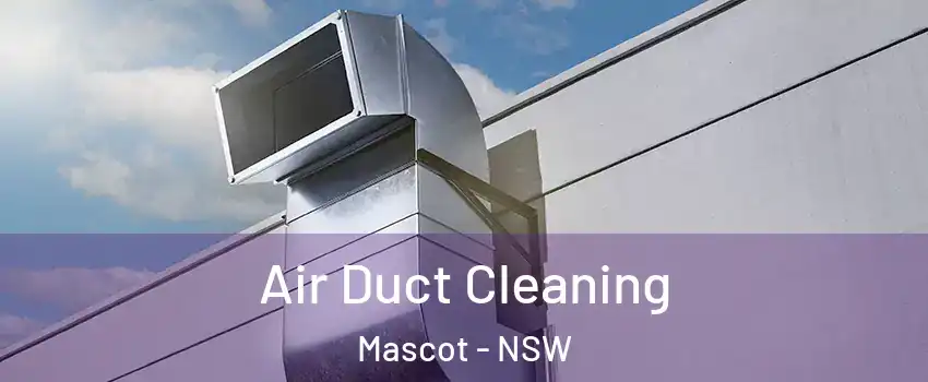 Air Duct Cleaning Mascot - NSW