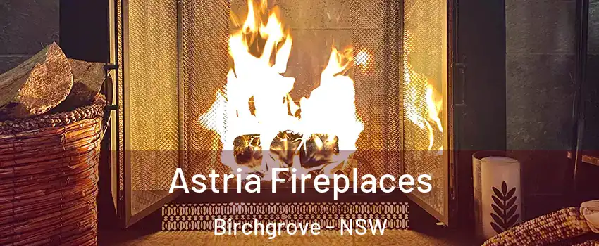  Astria Fireplaces Birchgrove - NSW