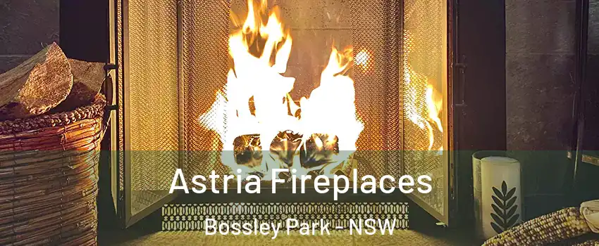 Astria Fireplaces Bossley Park - NSW