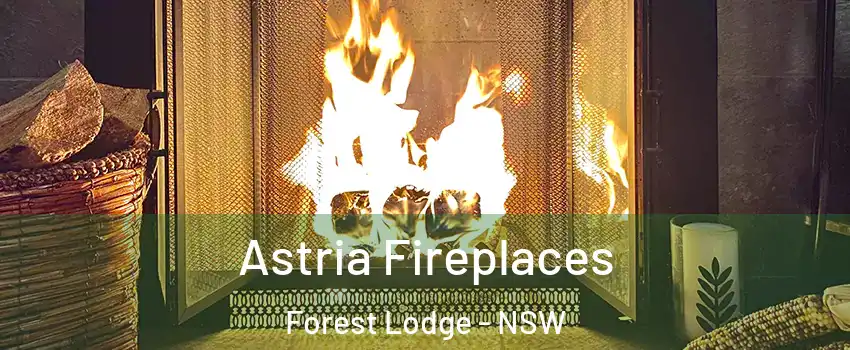 Astria Fireplaces Forest Lodge - NSW