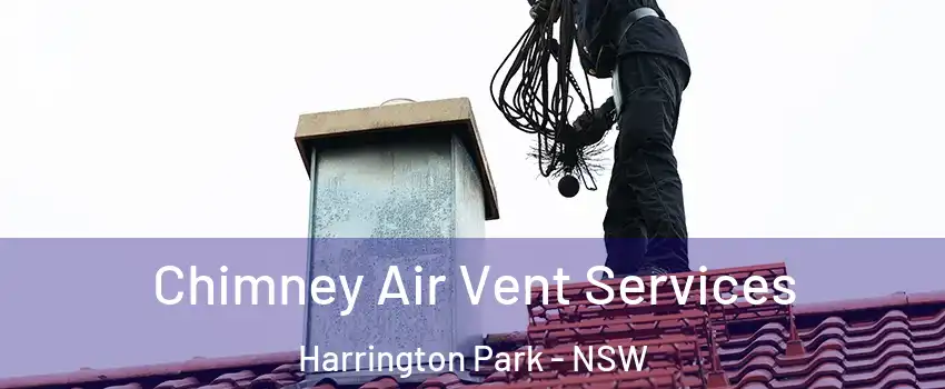 Chimney Air Vent Services Harrington Park - NSW