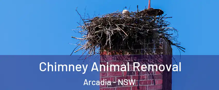 Chimney Animal Removal Arcadia - NSW