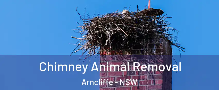 Chimney Animal Removal Arncliffe - NSW