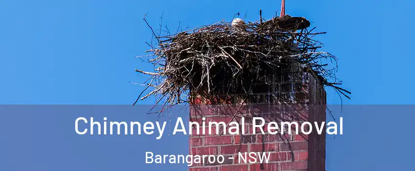Chimney Animal Removal Barangaroo - NSW