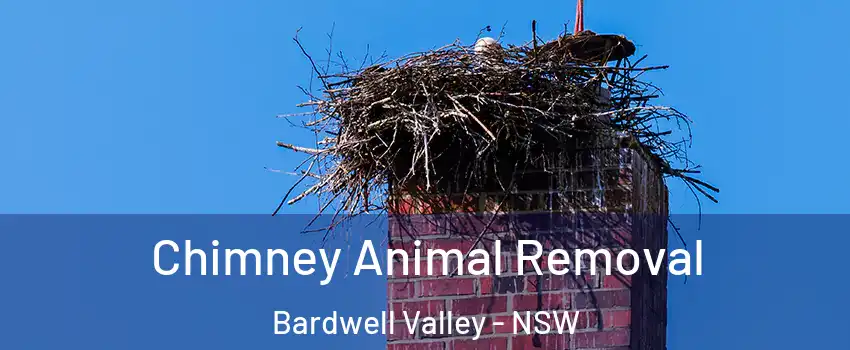 Chimney Animal Removal Bardwell Valley - NSW