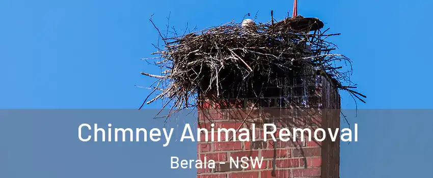 Chimney Animal Removal Berala - NSW