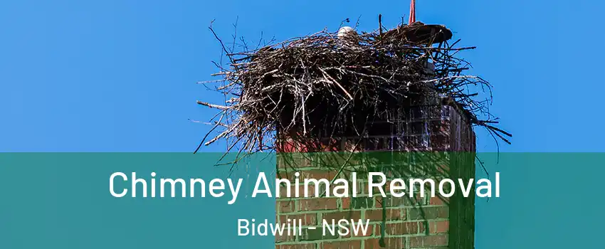 Chimney Animal Removal Bidwill - NSW