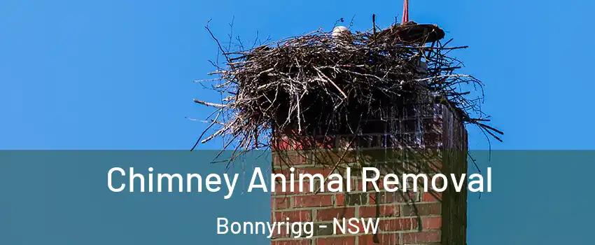 Chimney Animal Removal Bonnyrigg - NSW