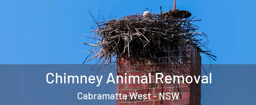 Chimney Animal Removal Cabramatta West - NSW