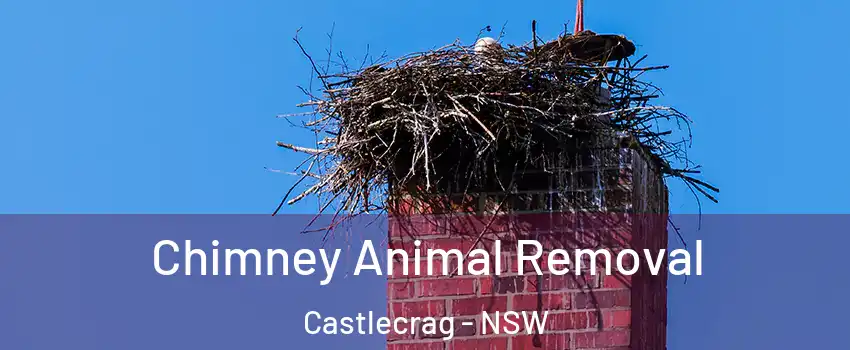Chimney Animal Removal Castlecrag - NSW