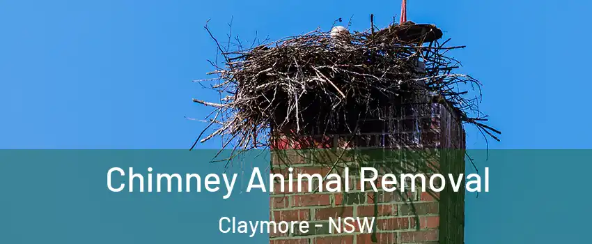 Chimney Animal Removal Claymore - NSW