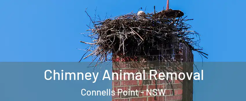  Chimney Animal Removal Connells Point - NSW