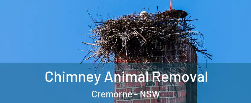  Chimney Animal Removal Cremorne - NSW