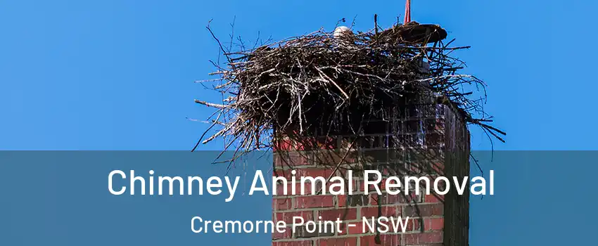 Chimney Animal Removal Cremorne Point - NSW