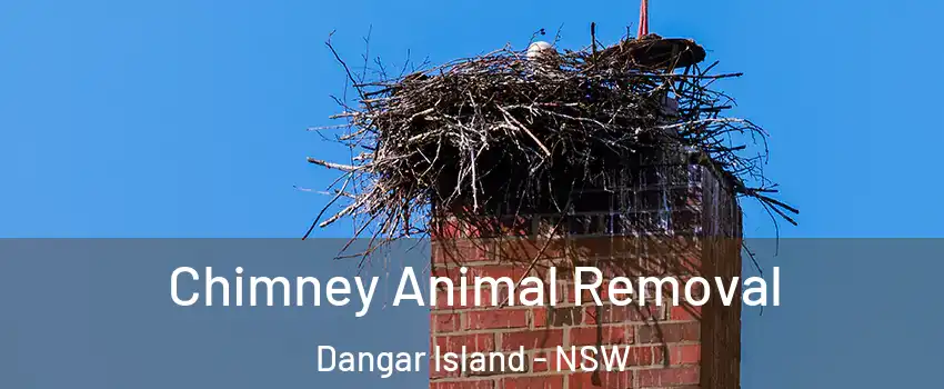 Chimney Animal Removal Dangar Island - NSW