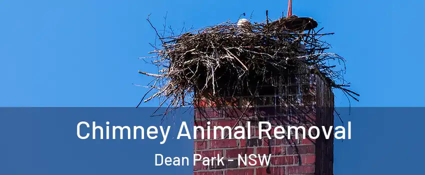 Chimney Animal Removal Dean Park - NSW