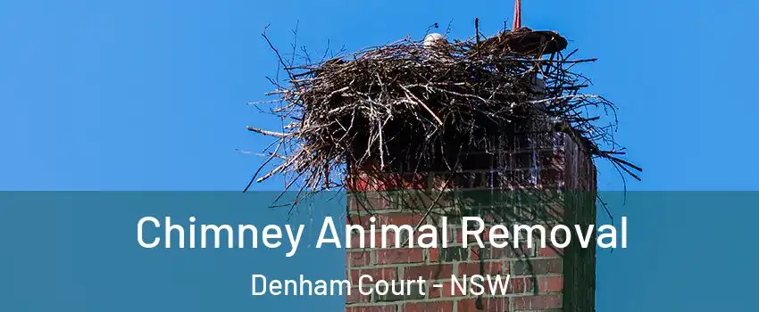 Chimney Animal Removal Denham Court - NSW