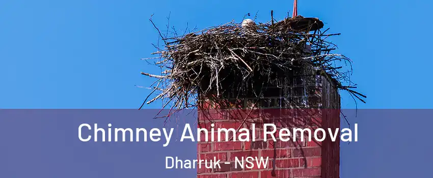 Chimney Animal Removal Dharruk - NSW