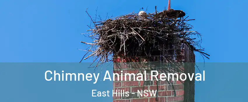 Chimney Animal Removal East Hills - NSW