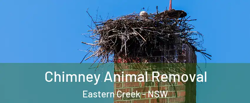 Chimney Animal Removal Eastern Creek - NSW