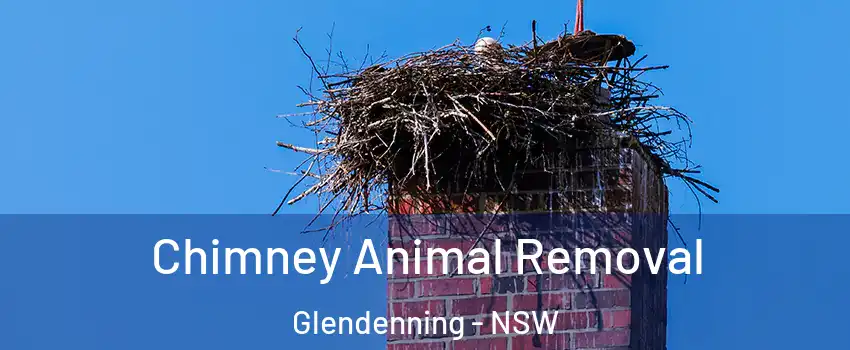 Chimney Animal Removal Glendenning - NSW