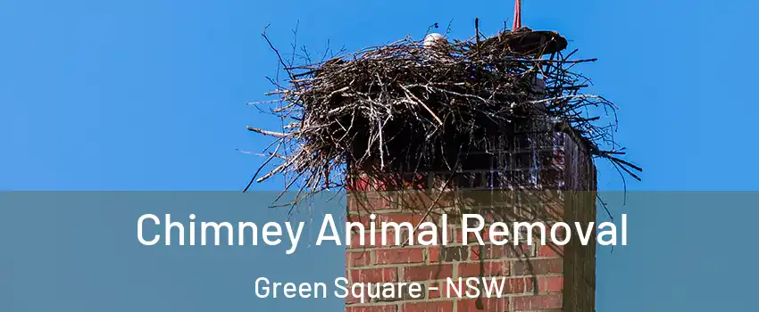 Chimney Animal Removal Green Square - NSW