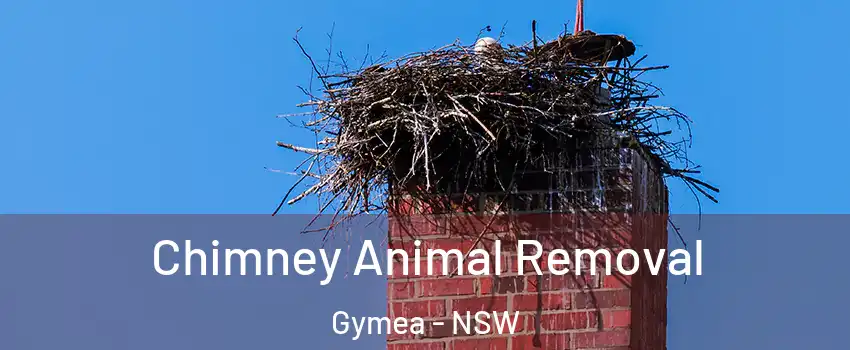 Chimney Animal Removal Gymea - NSW