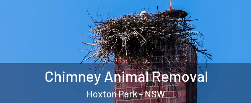 Chimney Animal Removal Hoxton Park - NSW