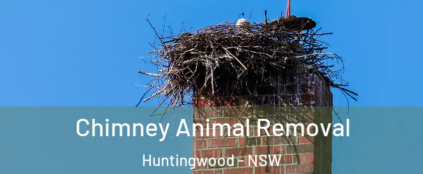  Chimney Animal Removal Huntingwood - NSW