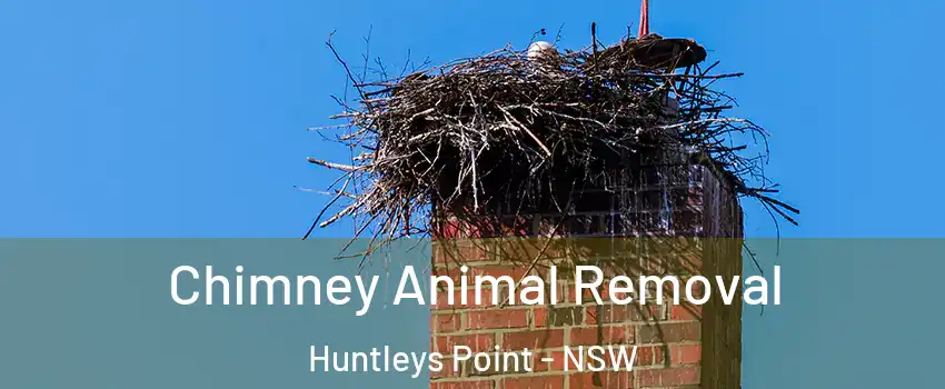 Chimney Animal Removal Huntleys Point - NSW