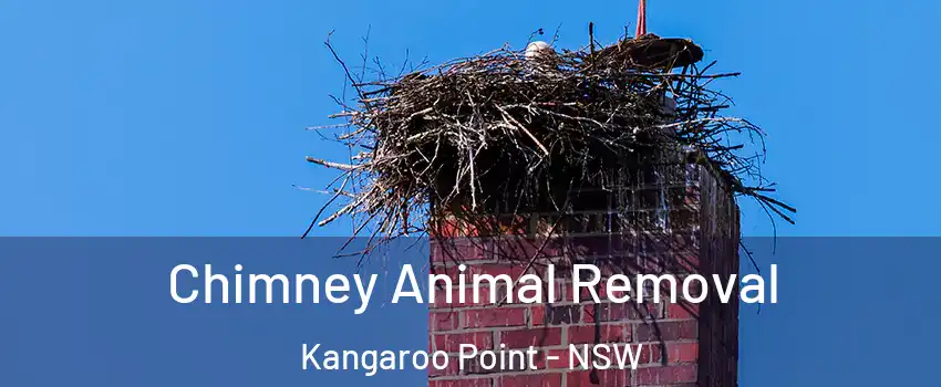 Chimney Animal Removal Kangaroo Point - NSW