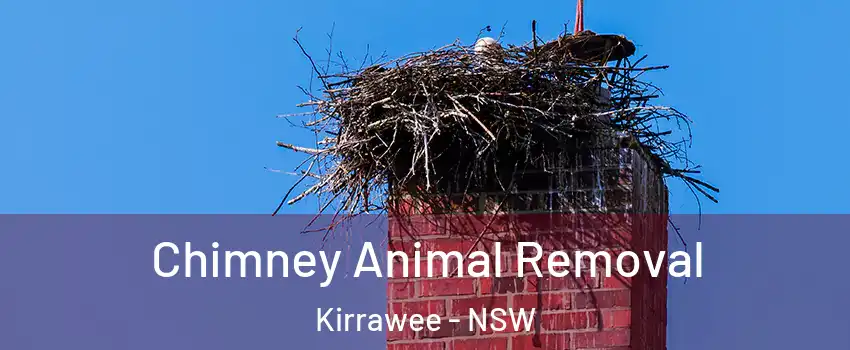 Chimney Animal Removal Kirrawee - NSW