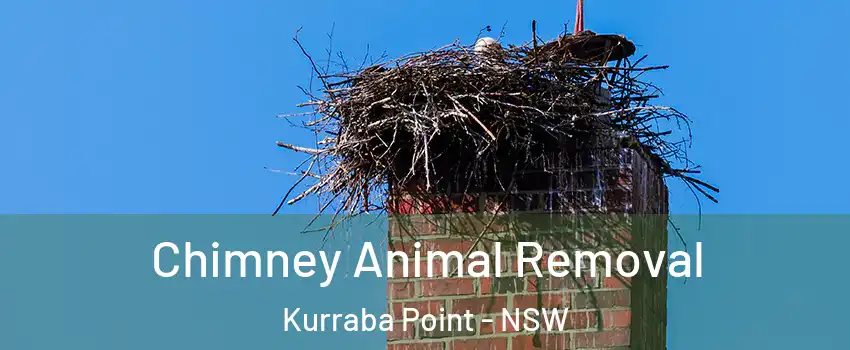 Chimney Animal Removal Kurraba Point - NSW