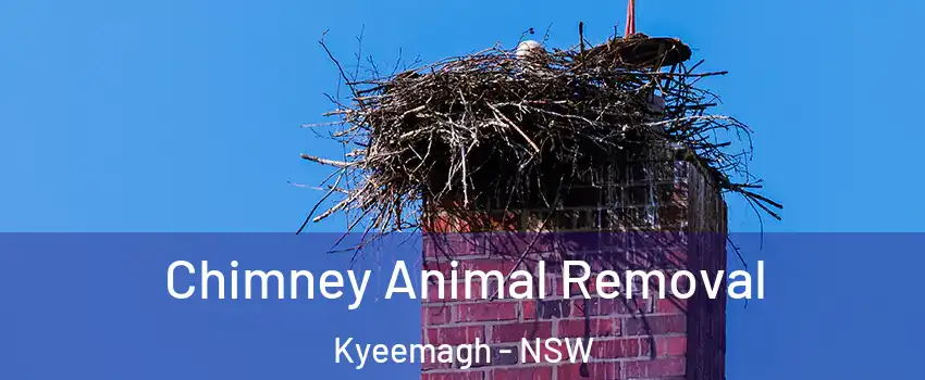 Chimney Animal Removal Kyeemagh - NSW
