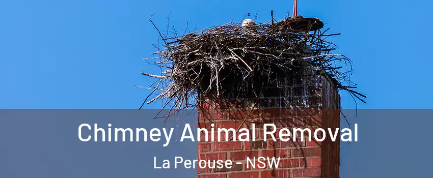 Chimney Animal Removal La Perouse - NSW