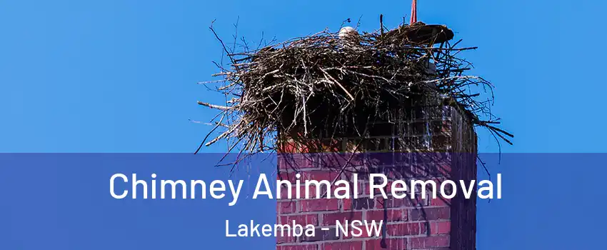 Chimney Animal Removal Lakemba - NSW