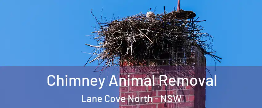 Chimney Animal Removal Lane Cove North - NSW