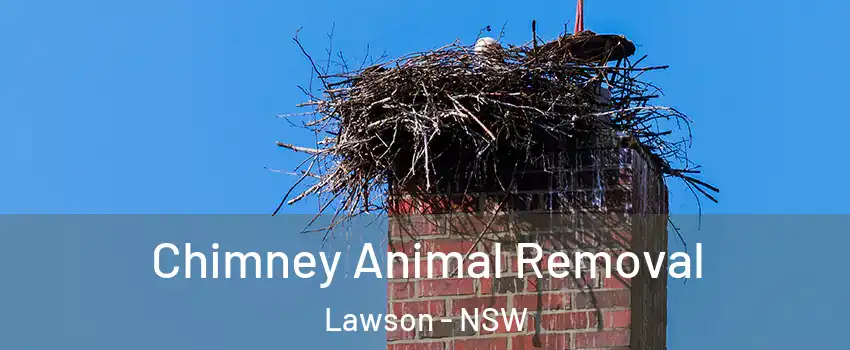 Chimney Animal Removal Lawson - NSW