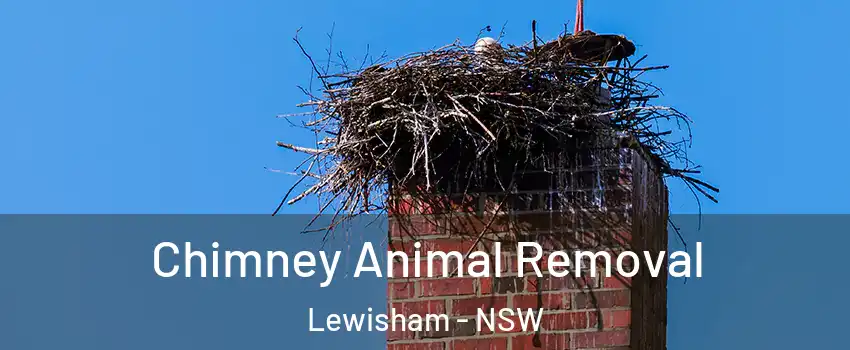Chimney Animal Removal Lewisham - NSW