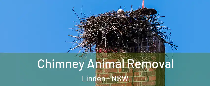 Chimney Animal Removal Linden - NSW