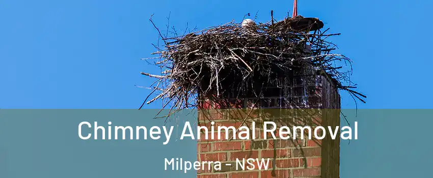 Chimney Animal Removal Milperra - NSW
