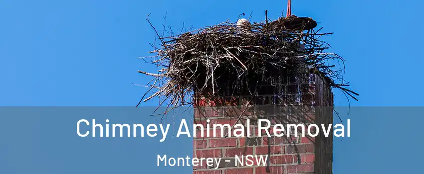 Chimney Animal Removal Monterey - NSW