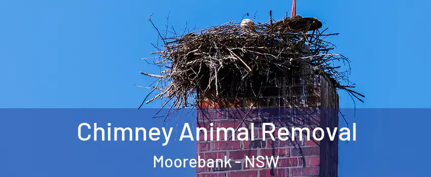 Chimney Animal Removal Moorebank - NSW