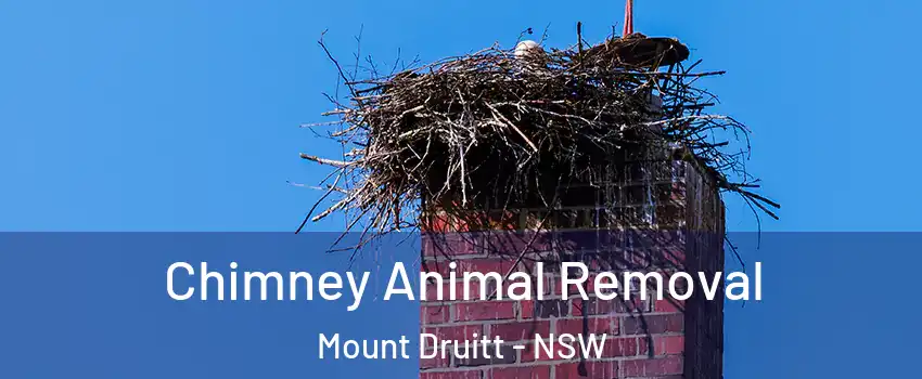 Chimney Animal Removal Mount Druitt - NSW