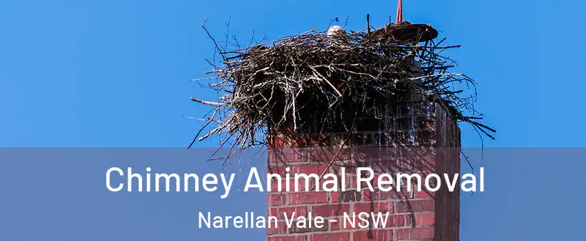 Chimney Animal Removal Narellan Vale - NSW