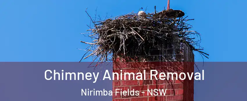 Chimney Animal Removal Nirimba Fields - NSW