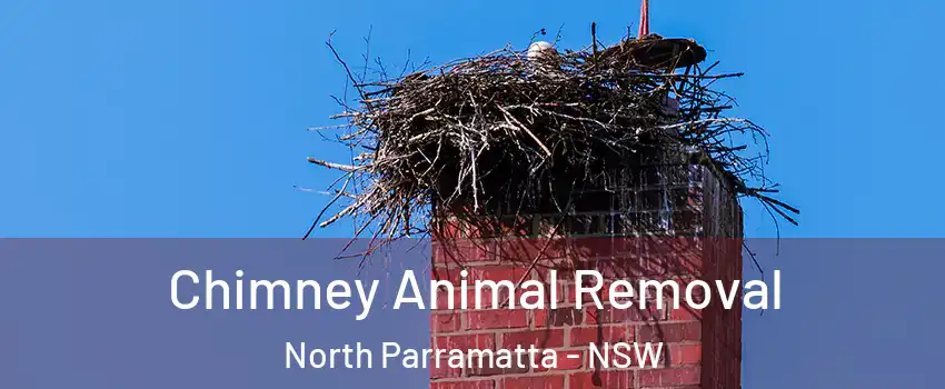 Chimney Animal Removal North Parramatta - NSW