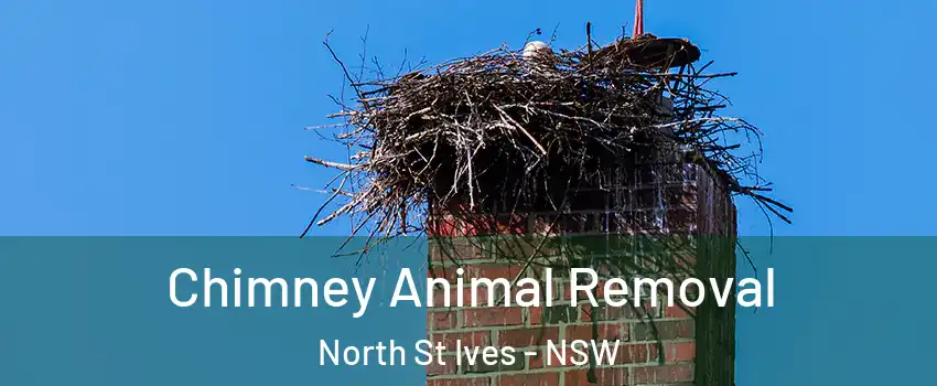 Chimney Animal Removal North St Ives - NSW
