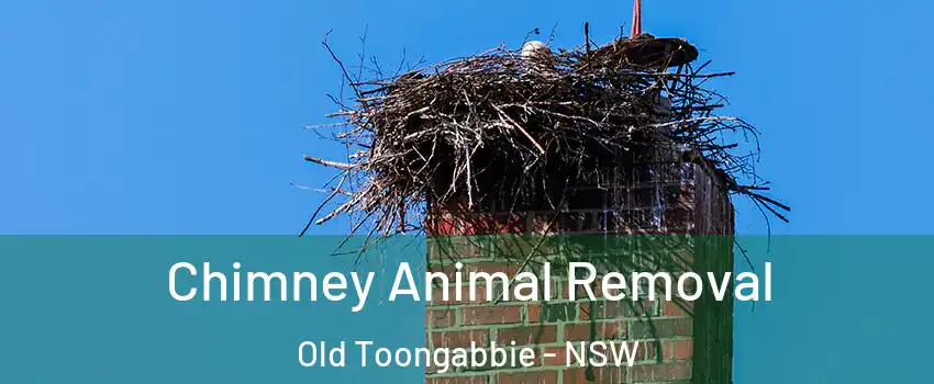Chimney Animal Removal Old Toongabbie - NSW