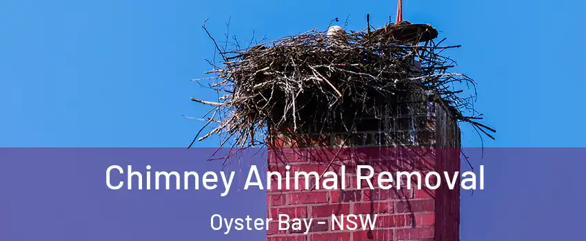 Chimney Animal Removal Oyster Bay - NSW